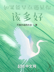 如果能早点遇见你，该多好在线阅读