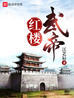 红楼武帝在线阅读