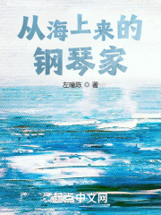 从海上来的钢琴家在线阅读