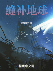 缝补地球在线阅读
