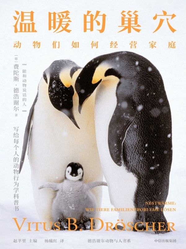 温暖的巢穴