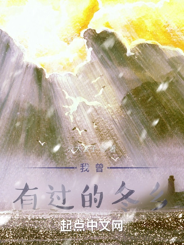 我曾有过的冬乡