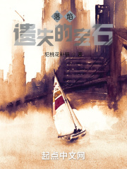 落焰：遗失的宝石