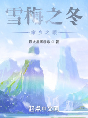 雪梅之冬，家乡之暖在线阅读