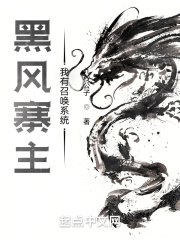 黑风寨主：我有召唤系统在线阅读