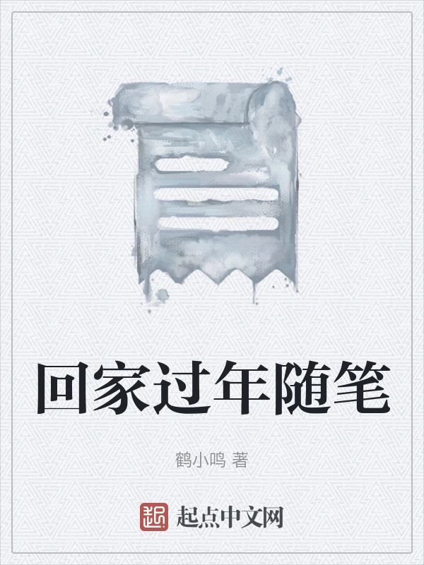 回家过年随笔