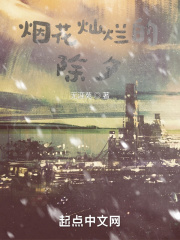 烟花灿烂的除夕