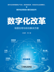 数字化改革：场景应用与综合解决方案