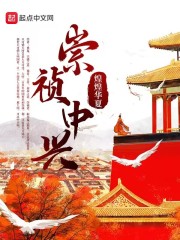 崇祯中兴在线阅读