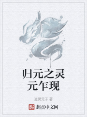 归元之灵元乍现在线阅读