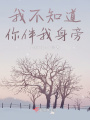 我不知道你伴我身旁在线阅读