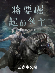 将要崛起的领主在线阅读