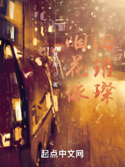 烟花依旧璀璨在线阅读