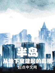 半岛：从地下室建起的高楼在线阅读
