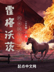 霍格沃茨的休闲生活在线阅读