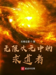 无限次元中的求道者在线阅读