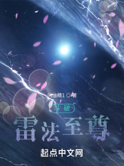 斗破雷法至尊在线阅读