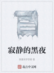 寂静的黑夜在线阅读