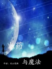 火药与魔法在线阅读