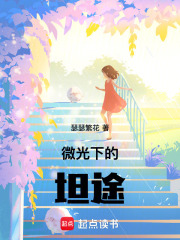 微光下的坦途在线阅读
