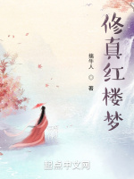 修真红楼梦封面