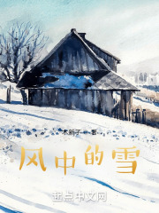 风中的雪在线阅读