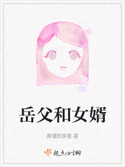 岳父和女婿在线阅读