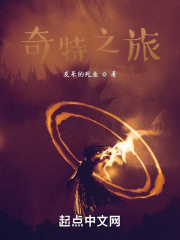 奇特之旅在线阅读
