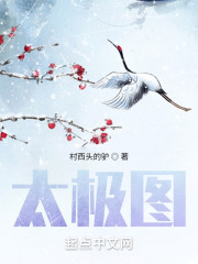太极图在线阅读