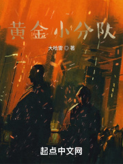 黄金小分队在线阅读