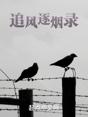 追风逐烟录在线阅读