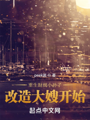 重生财阀小孙子，改造大嫂开始在线阅读