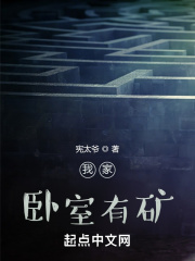 我家卧室有矿在线阅读