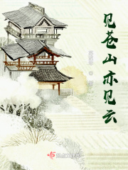 见苍山亦见云在线阅读