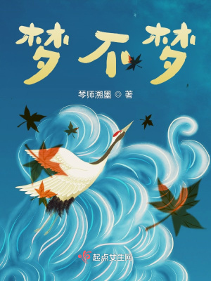 梦不梦在线阅读