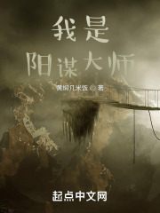 我是阳谋大师在线阅读