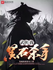 武侠：我，黑石杀手在线阅读