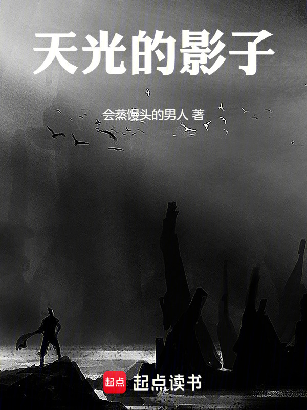 天光的影子在线阅读
