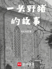 一头野猪的故事在线阅读