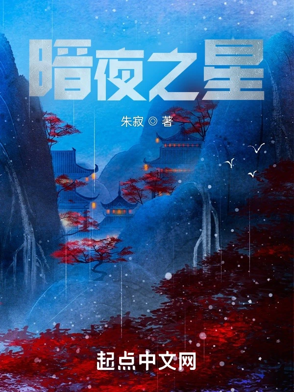 午夜，化身暗夜之星