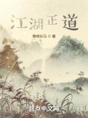 江湖正道在线阅读