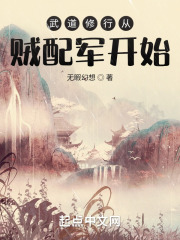 武道修行从贼配军开始在线阅读