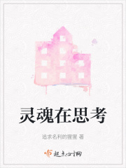 灵魂在思考在线阅读