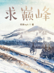 求巅峰在线阅读