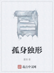孤身独形在线阅读