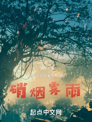 硝烟雨雾