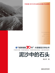 泥沙中的石头（“创新报国70年”大型报告文学丛书）