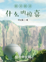翻译翻译什么叫惊喜在线阅读