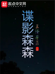 谍影森森在线阅读
