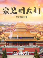 家兄明太祖在线阅读
